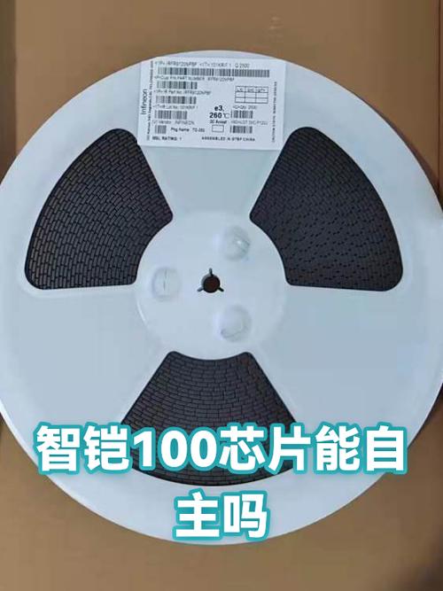 智铠100芯片能自主吗